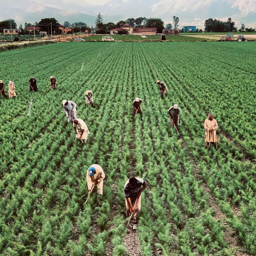 Análisis de la demanda laboral en el campo de la Tecnología e Informática 1 pexels photo 4433935 1